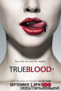 Сериал Настоящая кровь / True Blood 1 сезон онлайн