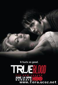 Сериал Настоящая кровь / True Blood 2 сезон онлайн